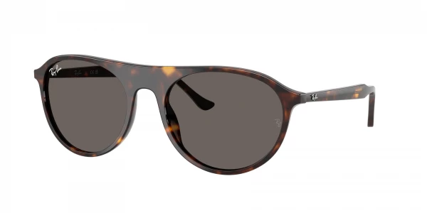 Ray-Ban RB2215