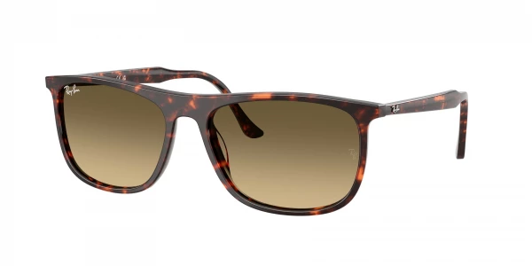 Ray-Ban RB2216F