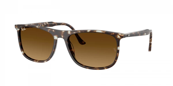 Ray-Ban RB2216