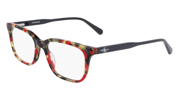 Calvin Klein Collection CKJ21606