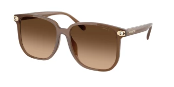 Coach HC8413BD CW419 0HC8413BD style-color 580874 Milky Brown / Brown Gradient Lens