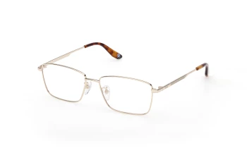 Bmw BW5091-H style-color 032 Shiny Pale Gold / Shiny Pale Gold