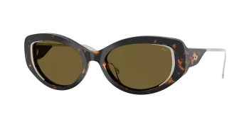 Diesel DL2001MU style-color 711/73 Shiny Havana / Brown Lens