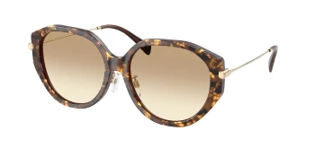 Michael Kors MK2248D JINAN 0MK2248D style-color 401613 Brown Pearlized Tortoise / Brown Gradient Lens