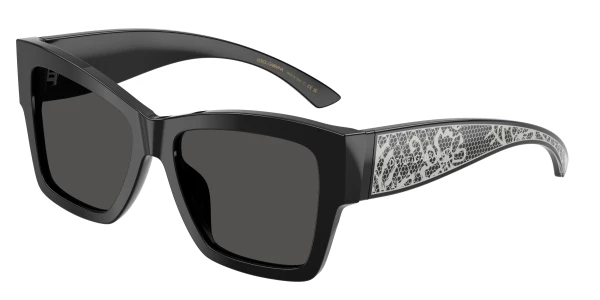 Dolce & Gabbana DG4493