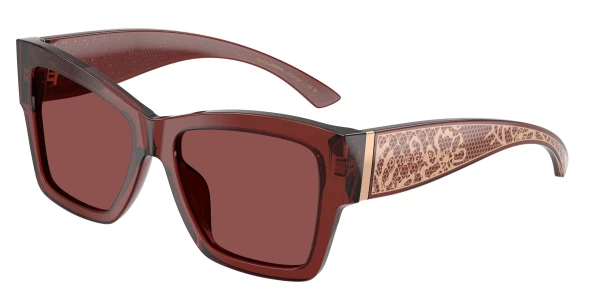 Dolce & Gabbana DG4493