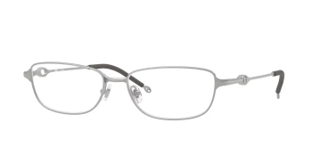 Diesel DL5002 style-color 1007 Matte Silver