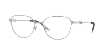 Diesel DL5003 style-color 1001 Shiny Silver