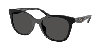 Coach HC8419U CAD25 0HC8419U style-color 500287 Black / Grey Solid Lens