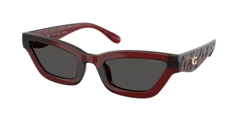 Coach HC8420U CAD28 0HC8420U style-color 587487 Transparent Deep Red / Grey Solid Lens