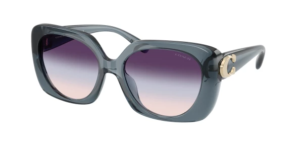 Coach HC8422U CAD33 0HC8422U