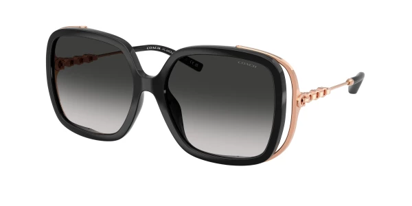 Coach HC8423U CAD80 0HC8423U