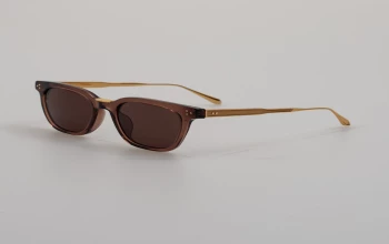 Linda Farrow LFL1508S Evans style-color 008 Evans Brown / Matt Champagne / B