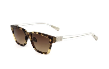 Kris Van Assche by Linda Farrow KVA18 style-color Havana/Crystal / BROWN Gradient Lens