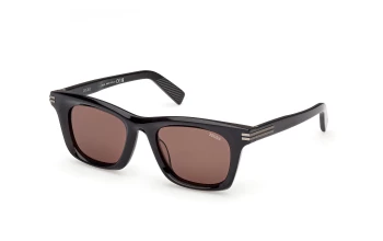 Ermenegildo Zegna EZ0270 style-color 20E Shiny Grey / Shiny Grey / brown brown Lens