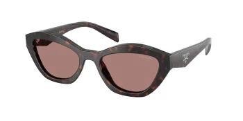 Prada PR A02SF style-color 17N60B Root Tortoise / Light Brown Lens