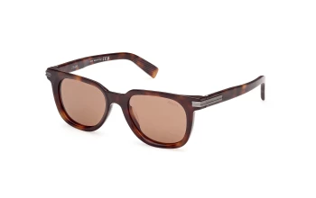Ermenegildo Zegna EZ0248 style-color 52E Dark Havana / Dark Havana / brown brown Lens
