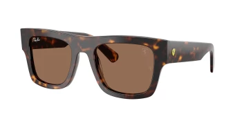 Ray-Ban RB2217M style-color F61373 Havana / Dark Brown Lens