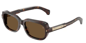 Moncler ME6008 SUNTRAP 0ME6008 style-color 300273 Shiny Dark Havana / Brown Solid Lens