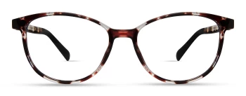 Modo POMELO style-color DPTT Dark Purple Tortoise