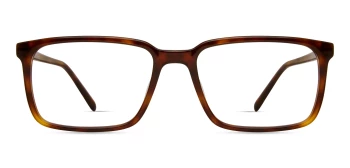 Modo 6558 style-color TORT Tortoise