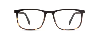 Eco LOGAN style-color Black Tort Gradient