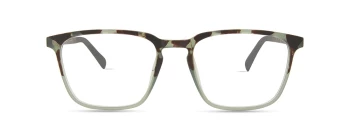 Eco CLARK style-color Green Tort Gradient