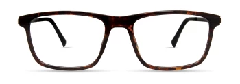 Eco GRAPE style-color DTRT Dark Tortoise