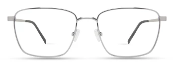 Eco BUCKTHORN style-color SIL Silver