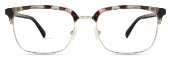 Eco GINKGO style-color GNTT Green Tortoise