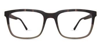 Eco SALIX style-color GNTG Green Tortoise Gradient