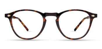 Eco PHOENIX style-color DKTT Dark Tortoise
