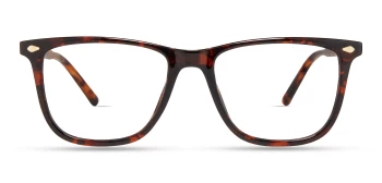 Eco GLACIER style-color DKTT Dark Tortoise
