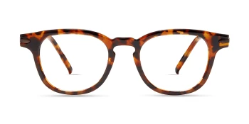 Modo FRANKLIN style-color Tortoise