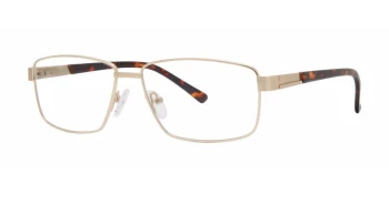 Boomba BLACKBERRY style-color Gold / Tortoise