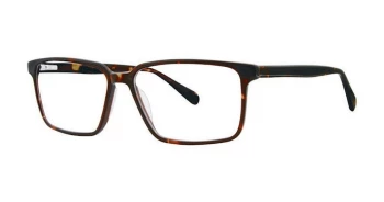 Takila EBONY style-color Tortoise