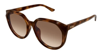 Chlo&eacute; CH0291SK style-color 003 / BROWN Lens