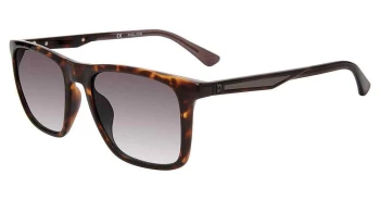 Police SPLF17 style-color 0978 Tortoise