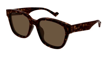 Gucci GG1430SK style-color Havana 002 / BROWN Lens