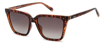 Fossil FOS 3173/G/S style-color 086HA Hvn 86HA / HA BROWN SHADED A Lens
