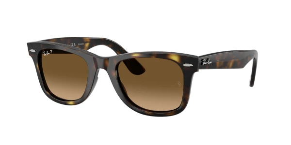 Ray-Ban RB4340 WAYFARER