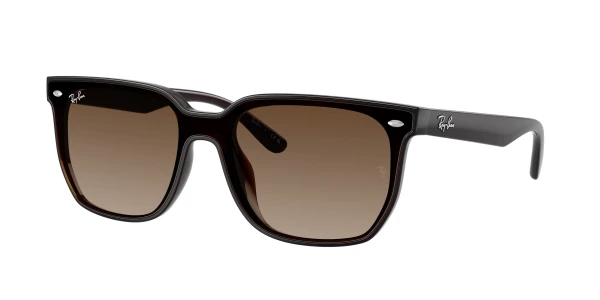 Ray-Ban RB4466D