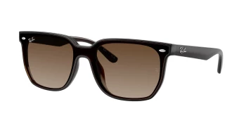 Ray-Ban RB4466D style-color 714/13 Transparent Dark Brown / Brown Gradient Lens