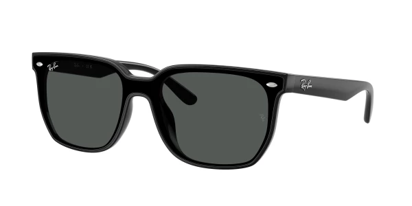 Ray-Ban RB4466D