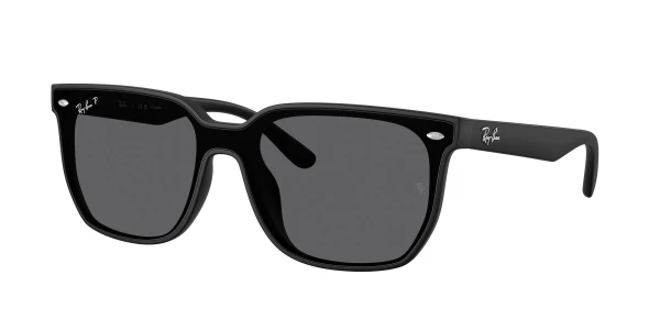 Ray-Ban RB4466D