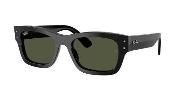RB7683S-140171-55  レイバンサングラス JOSEPH ジョセフ Ray-Ban RB7683S JOSEPH 0RB7683S Sunglasses | Free Shipping