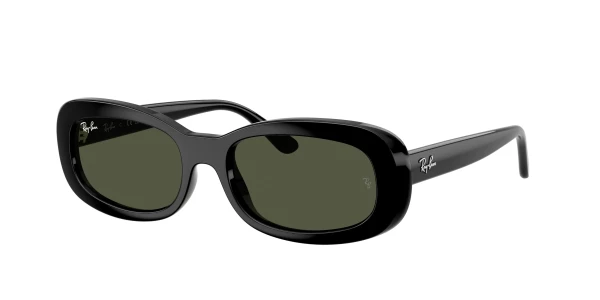 Ray-Ban RB2221