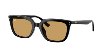 Ray-Ban RB4439D style-color 901/73 Black / Ochre Lens