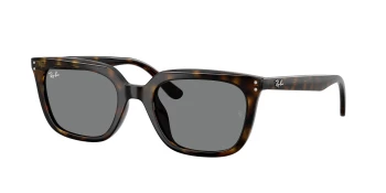 Ray-Ban RB4439D style-color 710/87 Havana / Dark Grey Lens
