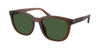 Coach HC8442U CCA00 0HC8442U style-color 591171 Matte Transparent Brown / Green Solid Lens